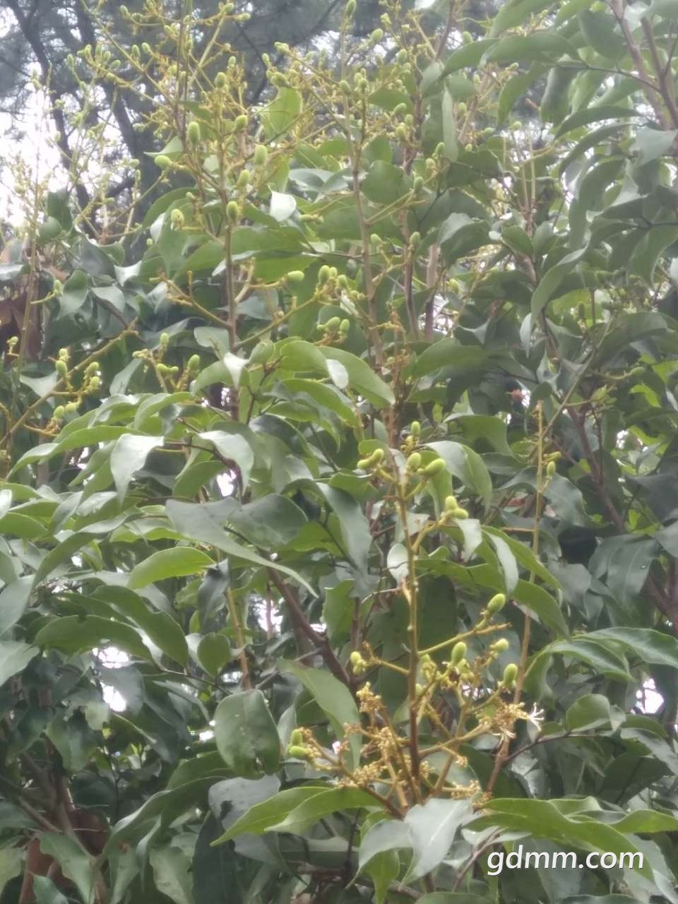 20190325_3281132_1553514538477.jpg