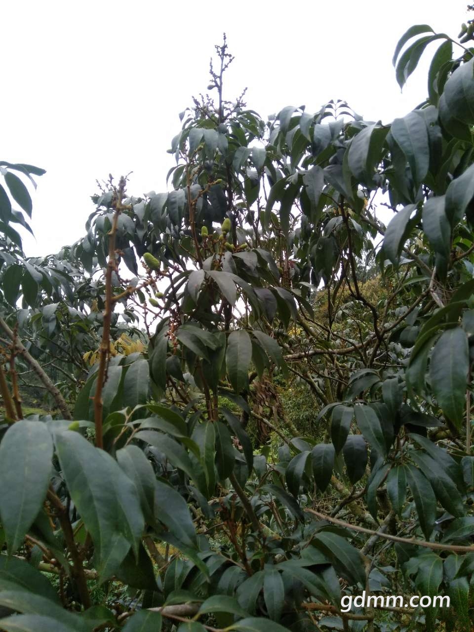 20190326_3281132_1553563056475.jpg