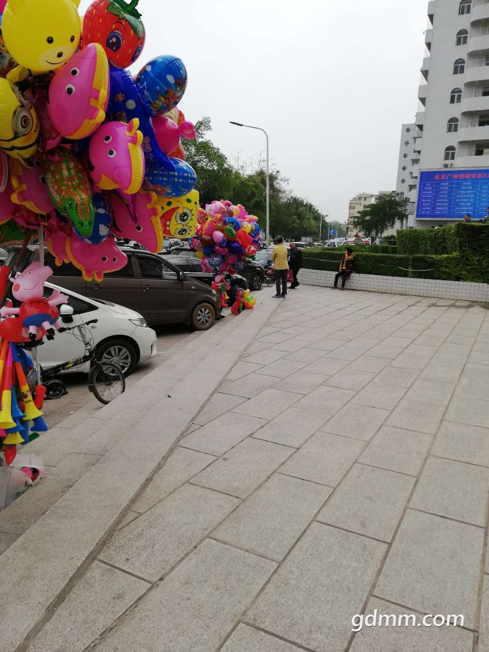 20190326_3278417_1553566107005.jpg