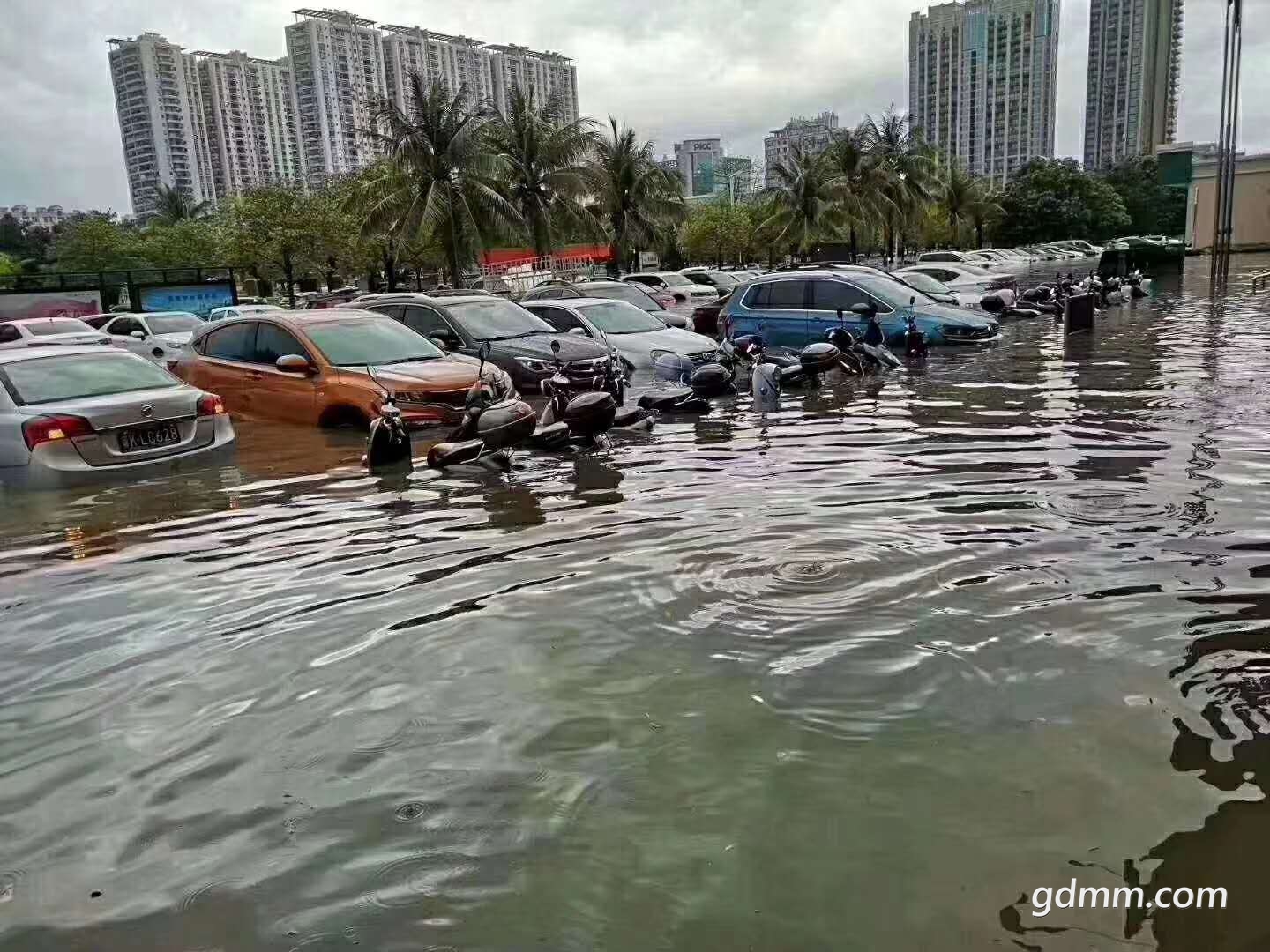 ����.jpg
