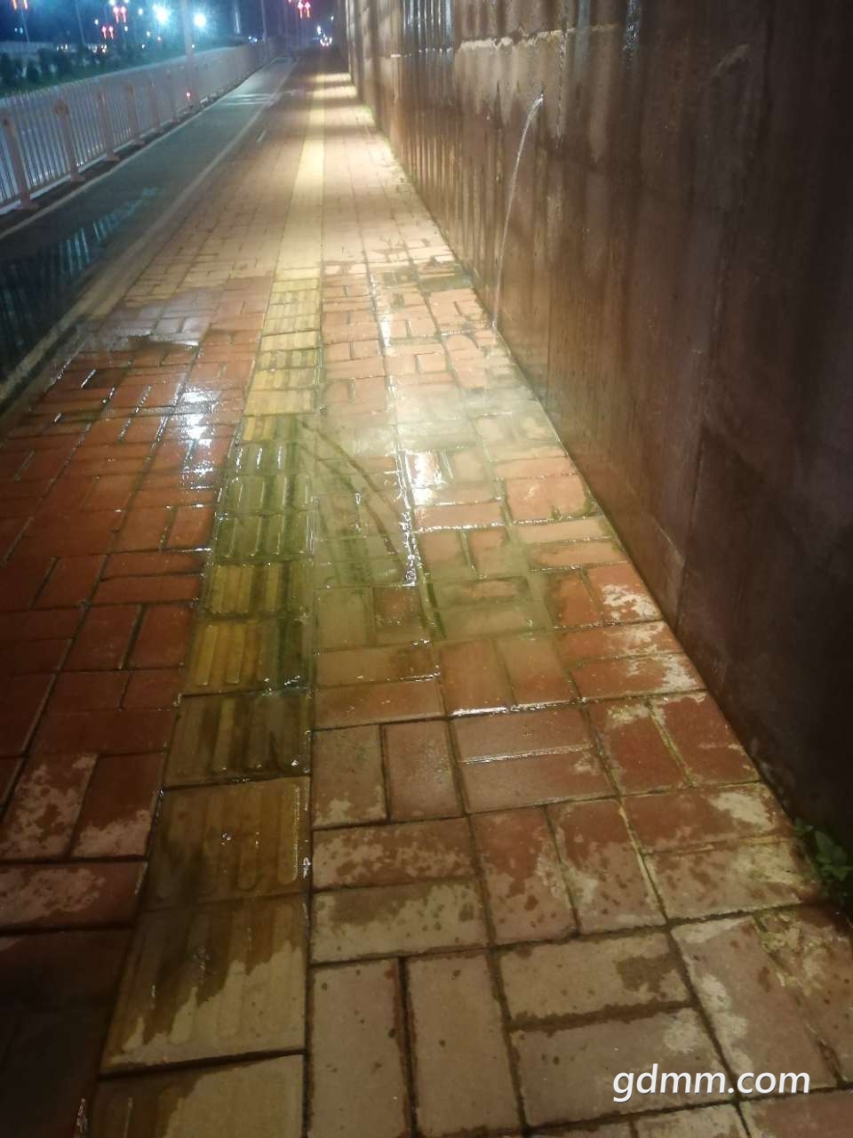 20190327_3259847_1553657148002.jpg