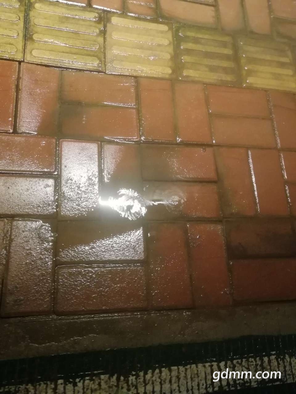 20190327_3259847_1553657147612.jpg