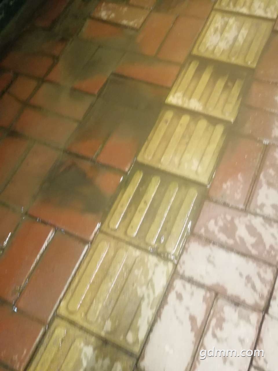 20190327_3259847_1553657148741.jpg