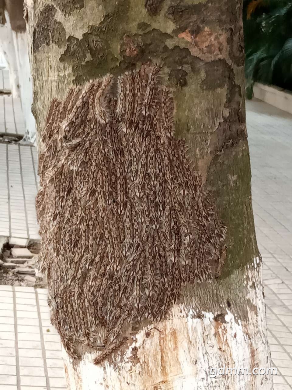 20190327_3277208_1553698585116.jpg