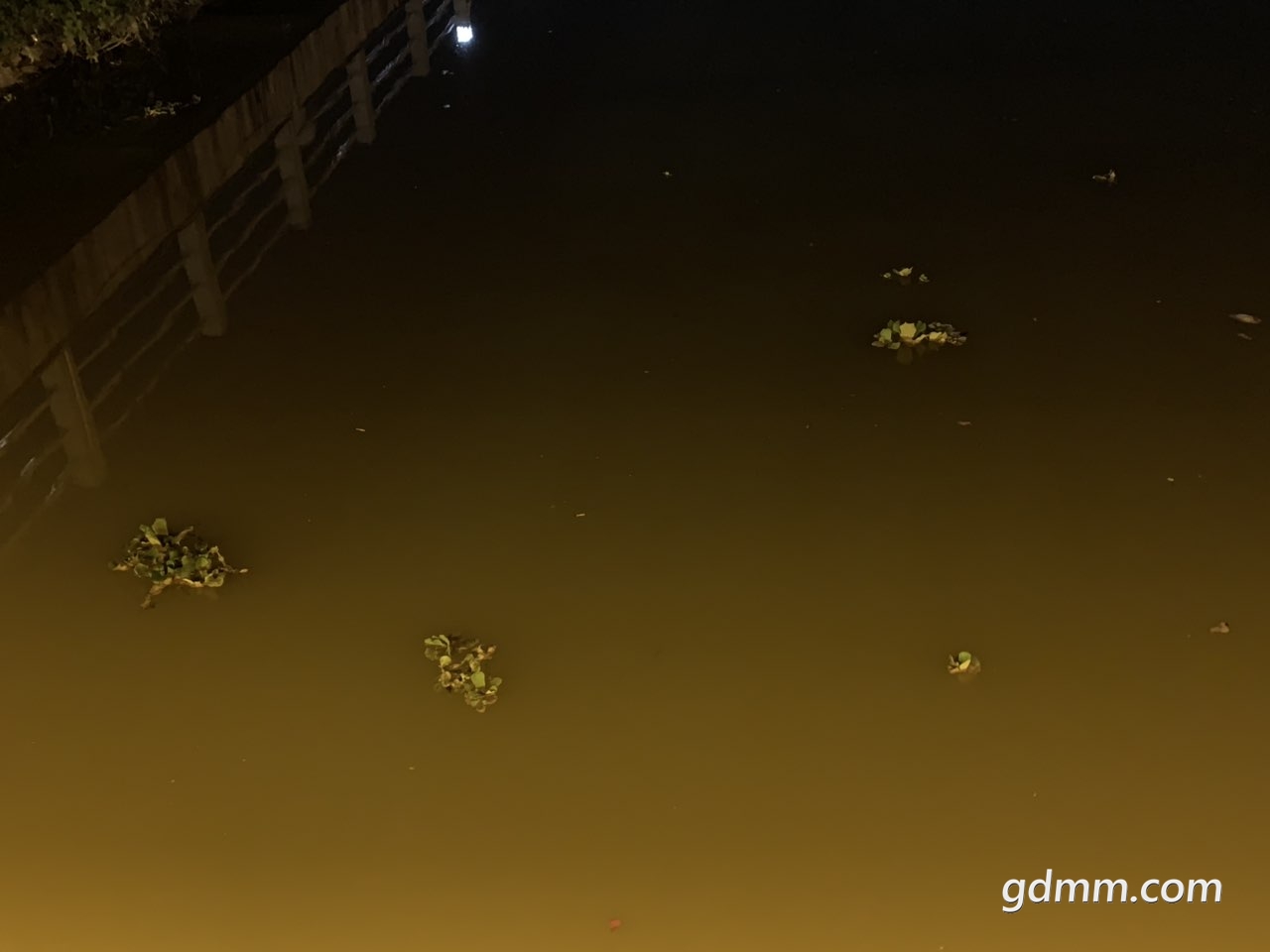 2019032832532691553775341595042.jpg
