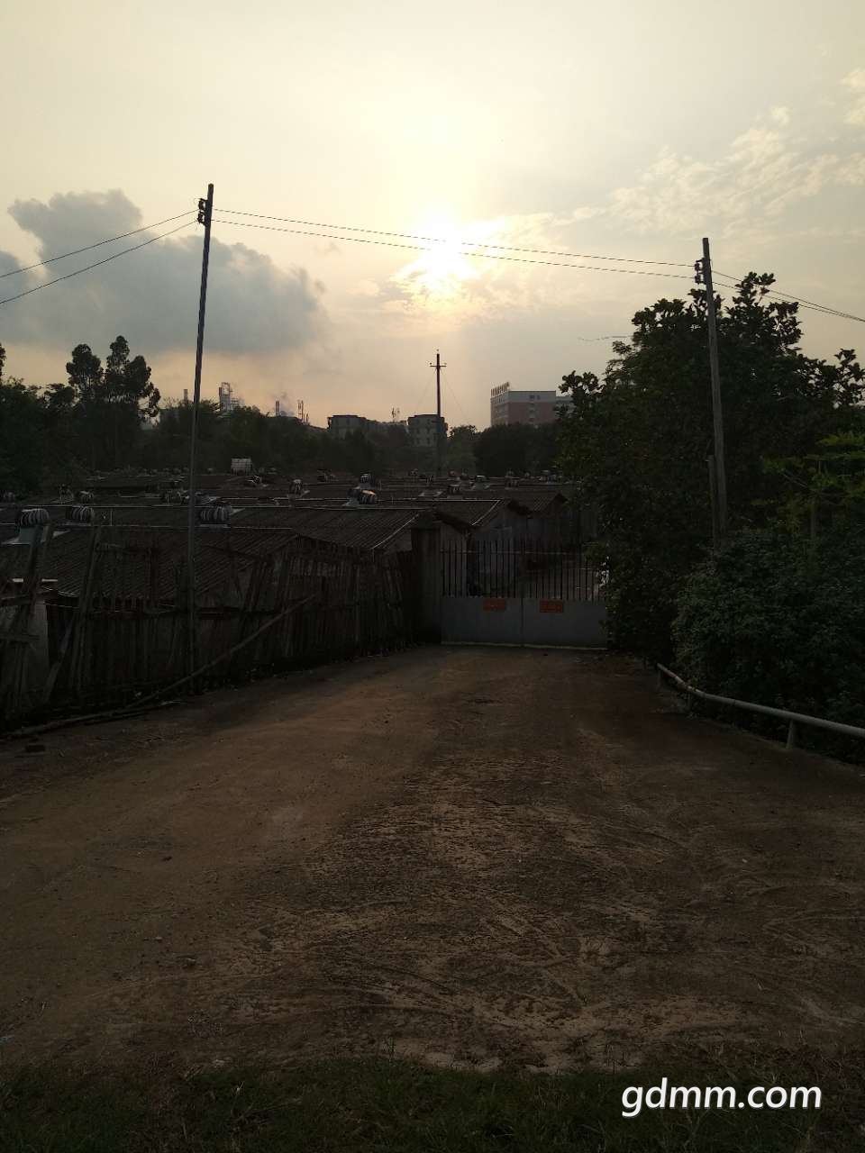 20190330_3263388_1553920519989.jpg