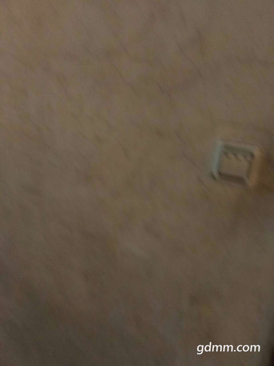20190330_3245728_1553961450917.jpg