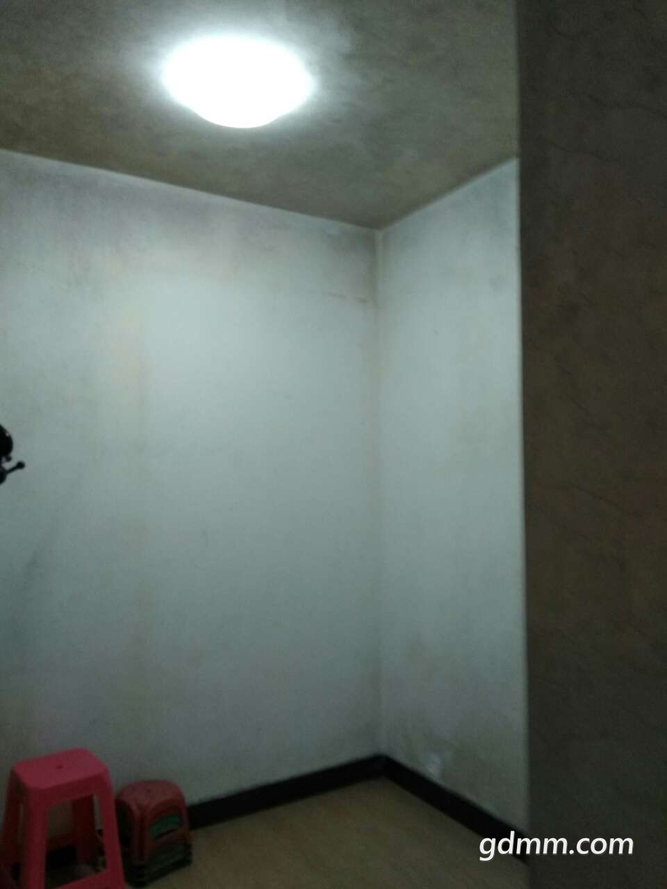 20190330_3245728_1553961450687.jpg