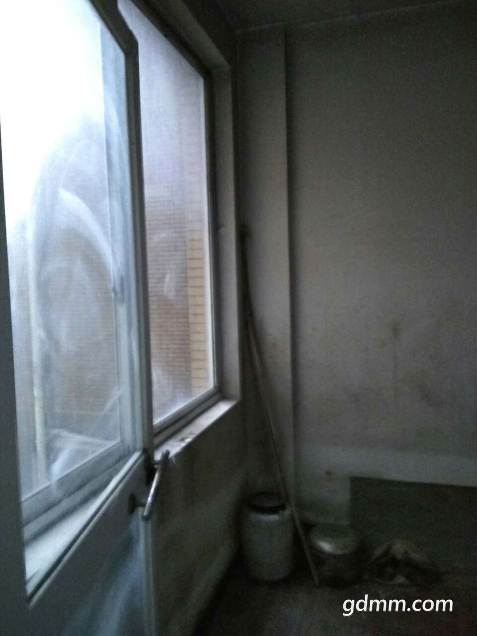 20190330_3245728_1553961559237.jpg