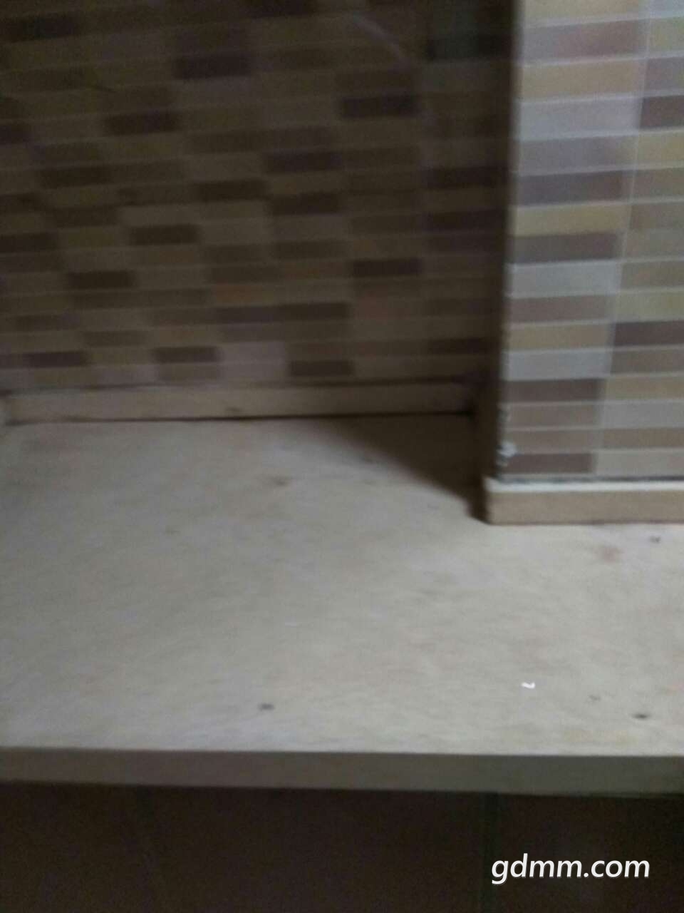 20190331_3245728_1553961700647.jpg