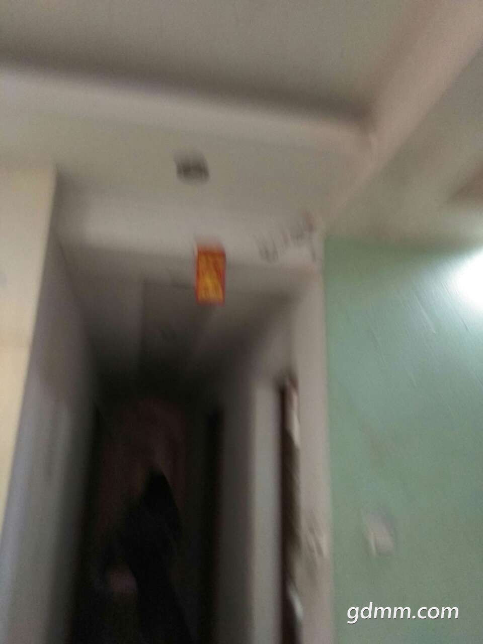 20190331_3245728_1553961887936.jpg