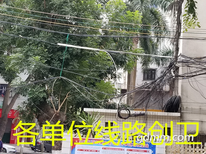 20190214_104444_����.jpg