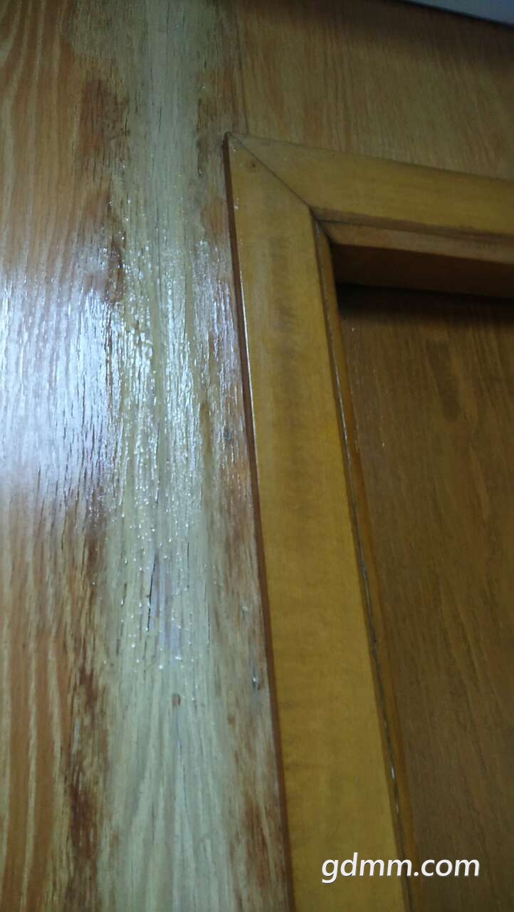 20190401_3245728_1554050761051.jpg