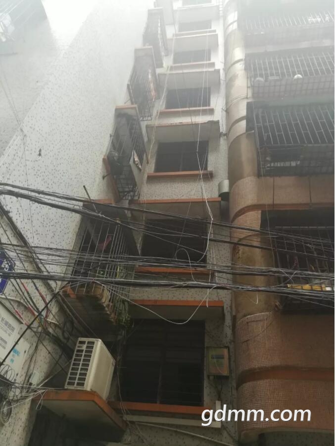 QQ��ͼ20190401094743.jpg