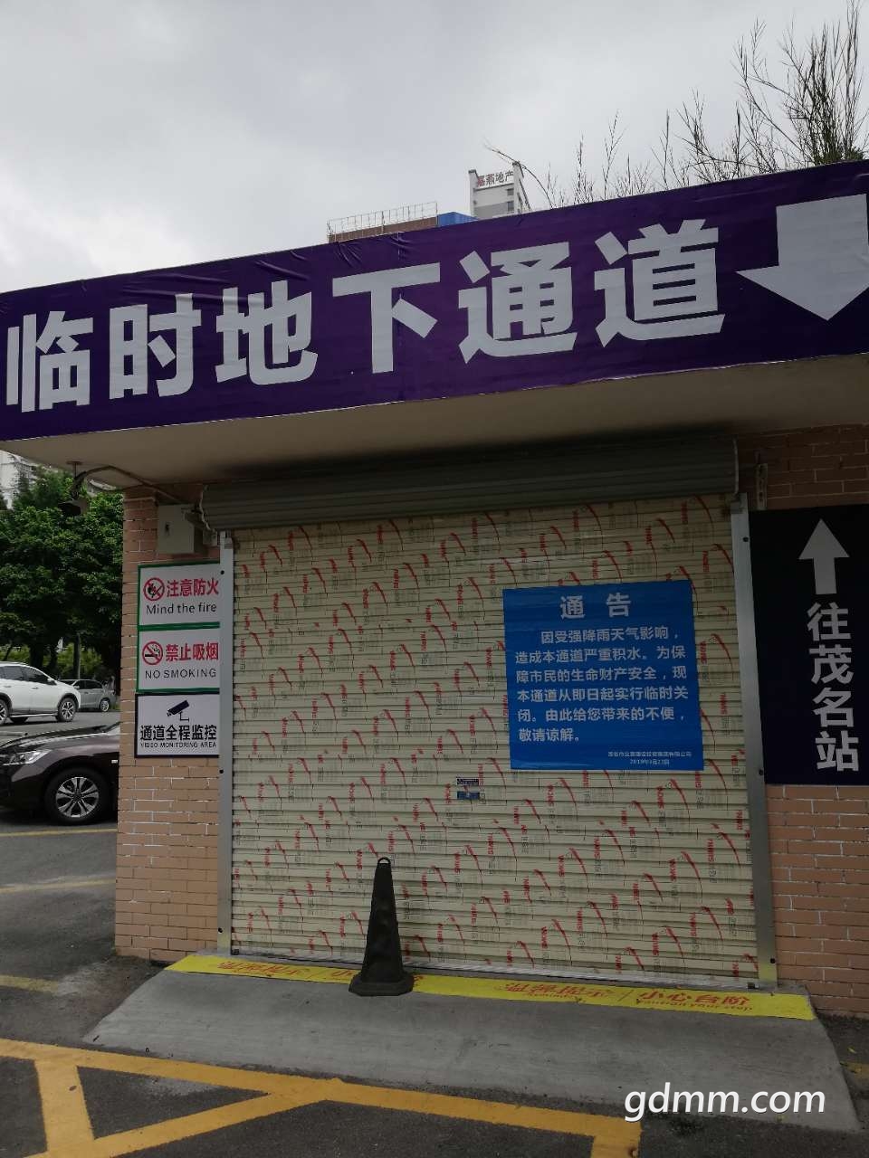20190401_3267979_1554131775355.jpg