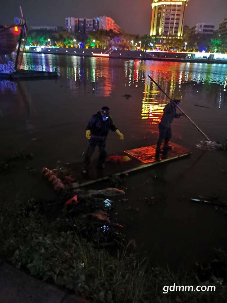 20190402_3281657_1554175305603.jpg