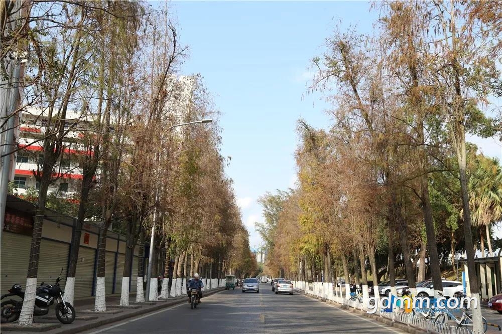 ΢��ͼƬ_20190402152457.jpg