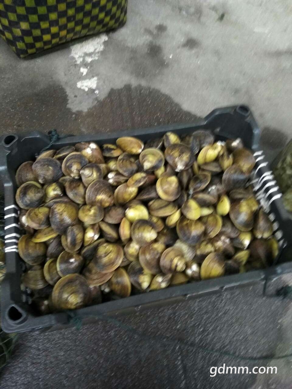 20190403_3245728_1554292915017.jpg