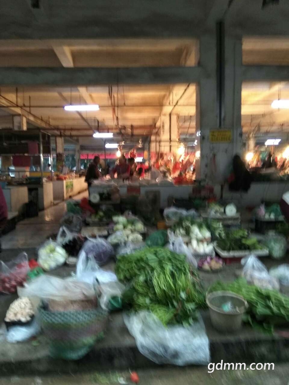 20190403_3245728_1554292917232.jpg
