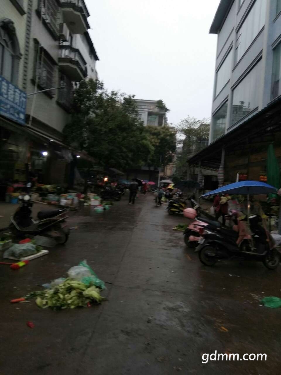 20190403_3245728_1554292916907.jpg