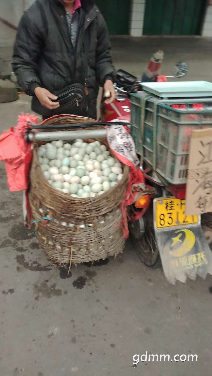 20190403_3245728_1554294985206.jpg