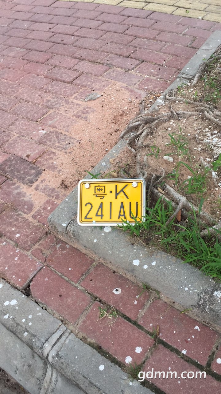 2019040432770041554340981748183.jpg