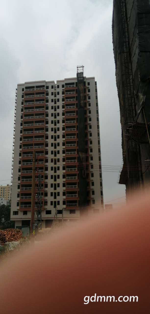 20190405_3258218_1554439306134.jpg