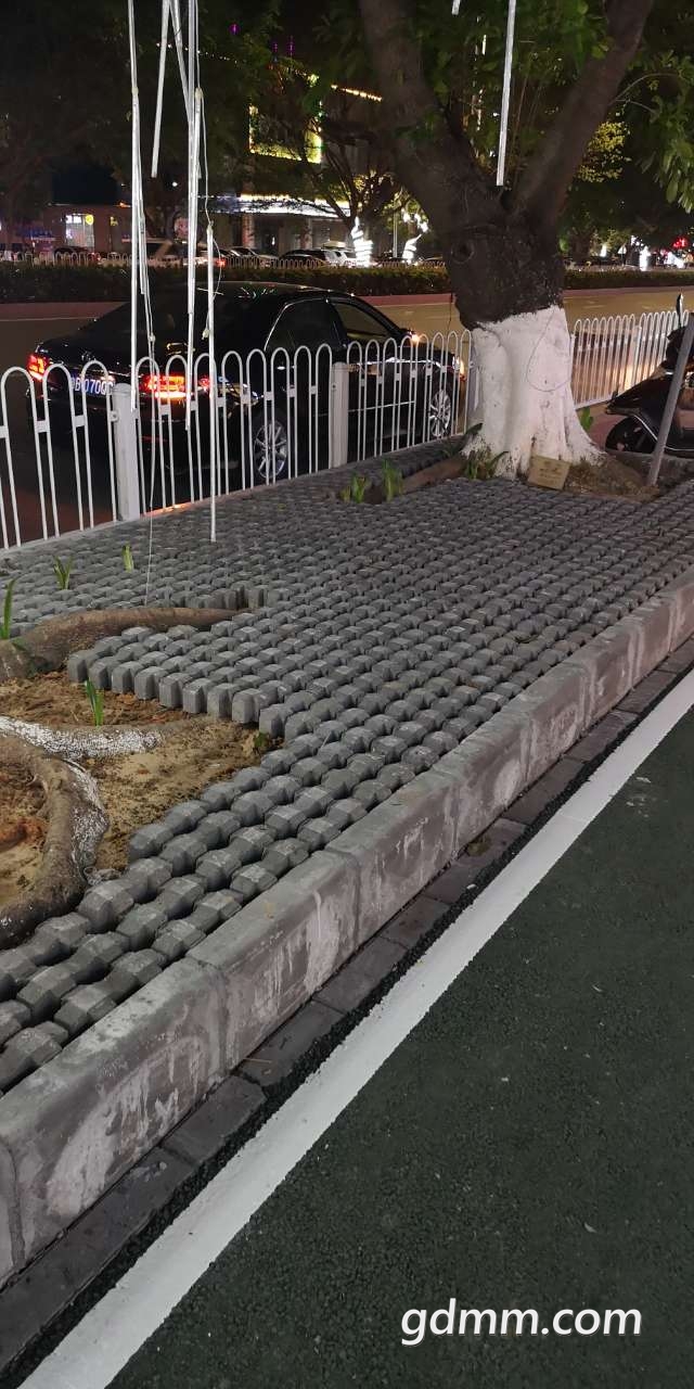 20190405_3269190_1554478575896.jpg