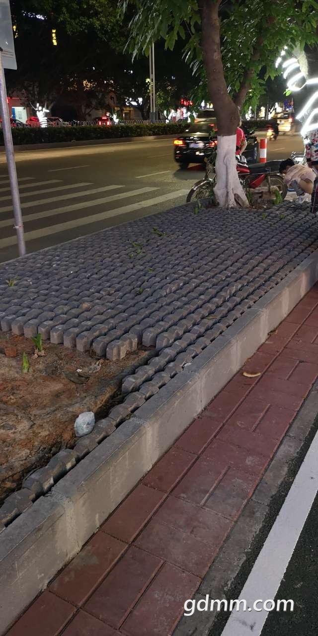 20190405_3269190_1554478576414.jpg