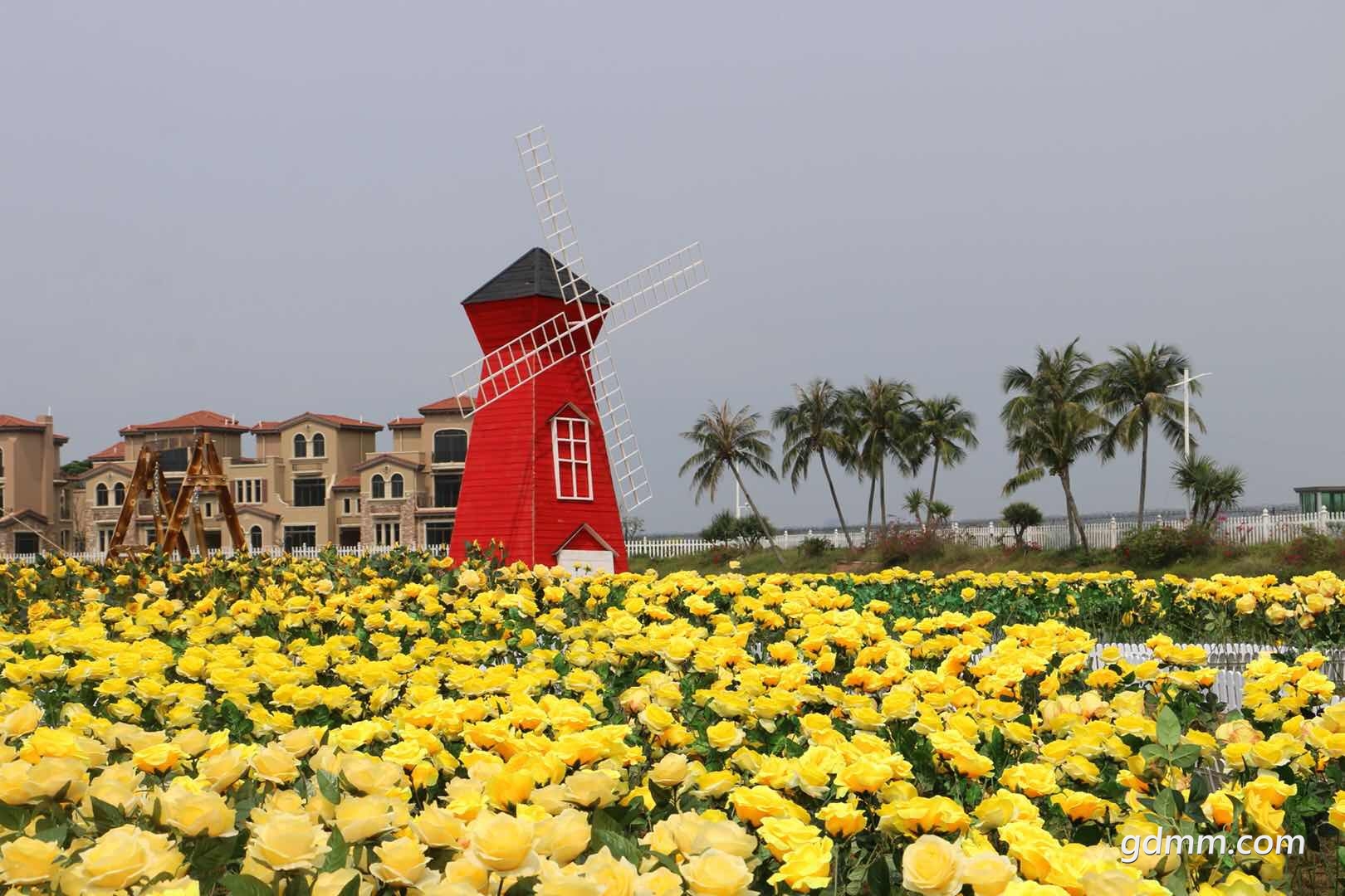 不知去哪玩茂名这里有大型彩虹滑道浪漫玫瑰花海等你来