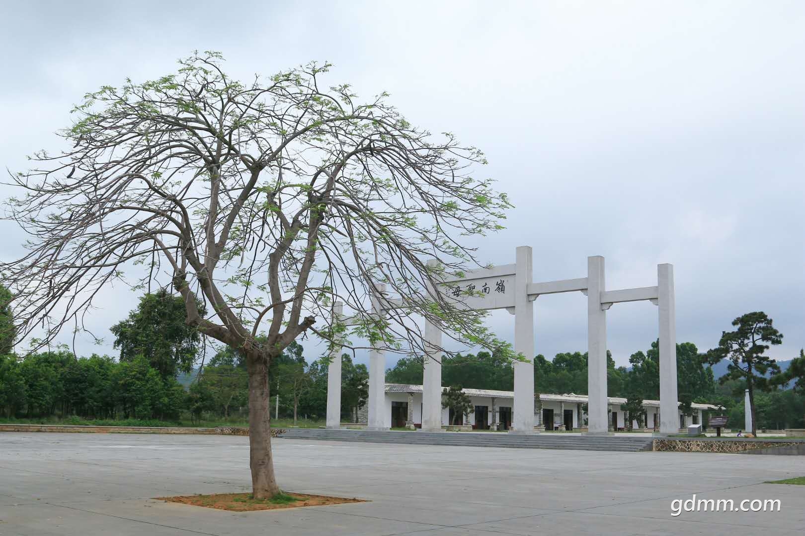 1.jpg
