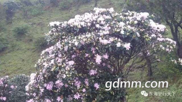 20190411_3253742_1554977542440.jpg