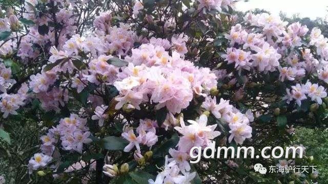 20190411_3253742_1554977619035.jpg