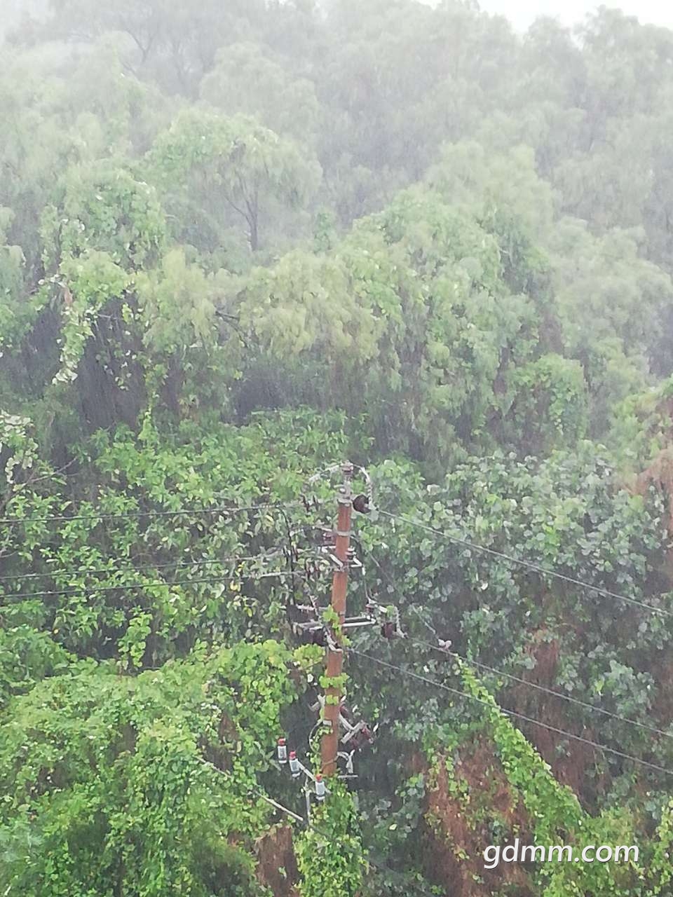 20190412_3278417_1555045517072.jpg