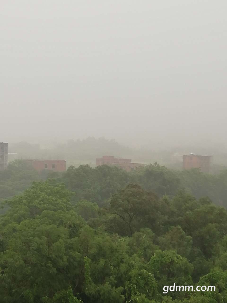 20190412_3278417_1555045516687.jpg