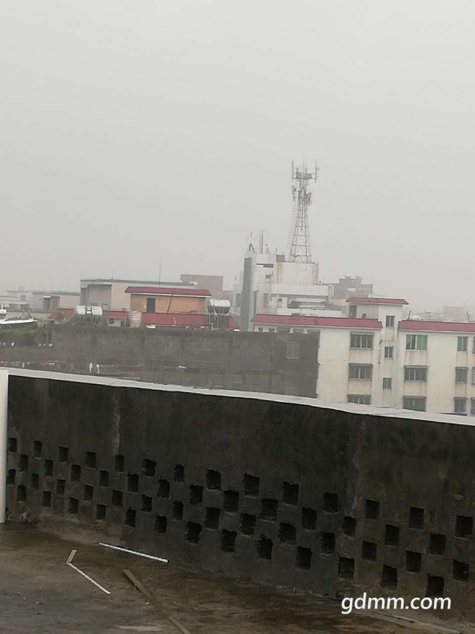 20190412_3278417_1555045517522.jpg