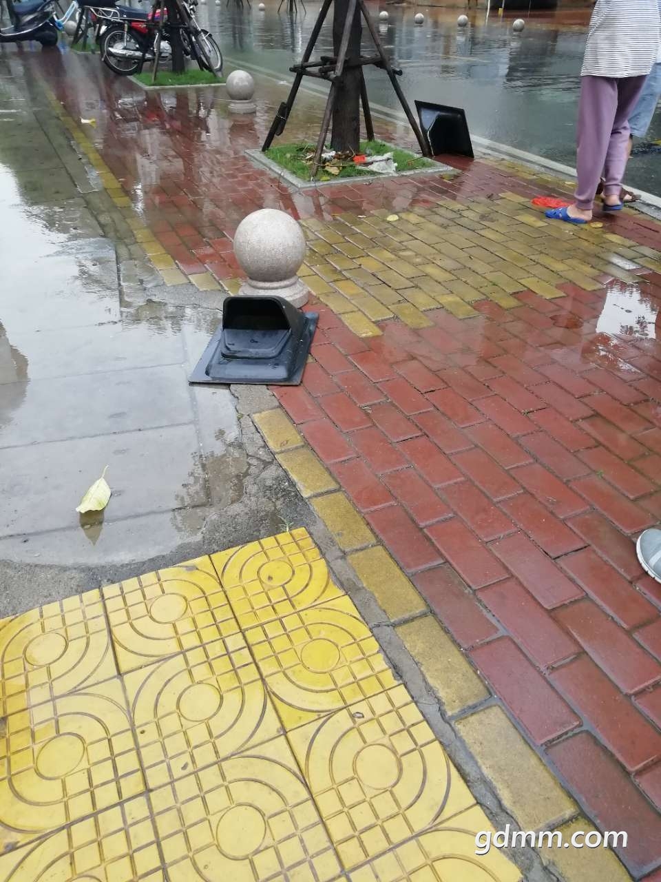 20190414_3258218_1555207255977.jpg