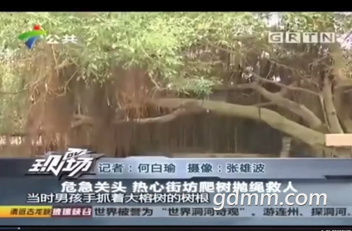 QQ��ͼ20190415093021.png