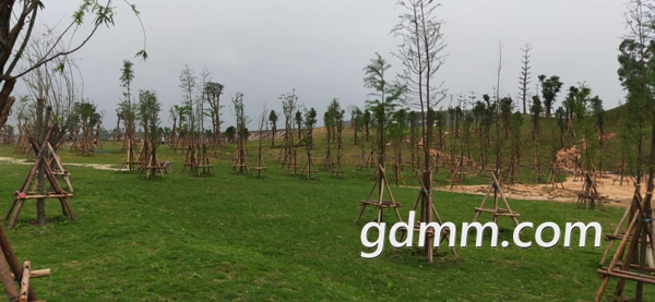 ΢��ͼƬ_20190415122003.jpg