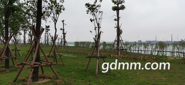 ΢��ͼƬ_20190415122029.jpg