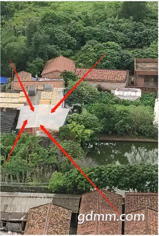 2019041632837661555405036657801.jpg