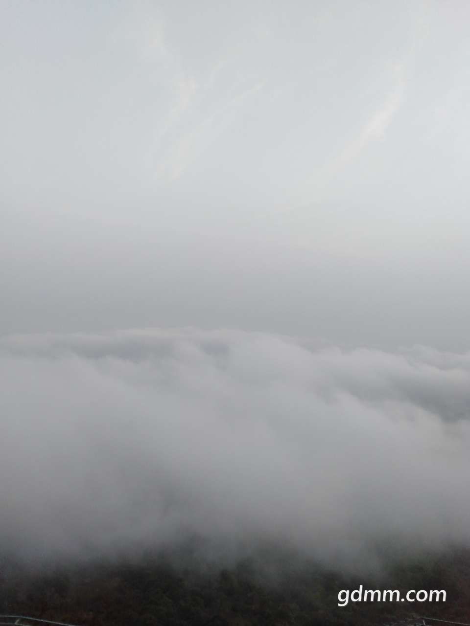 20190430_128814_1556587531699.jpg