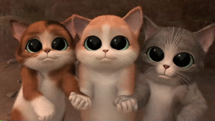 427_240gif 动态图 动图