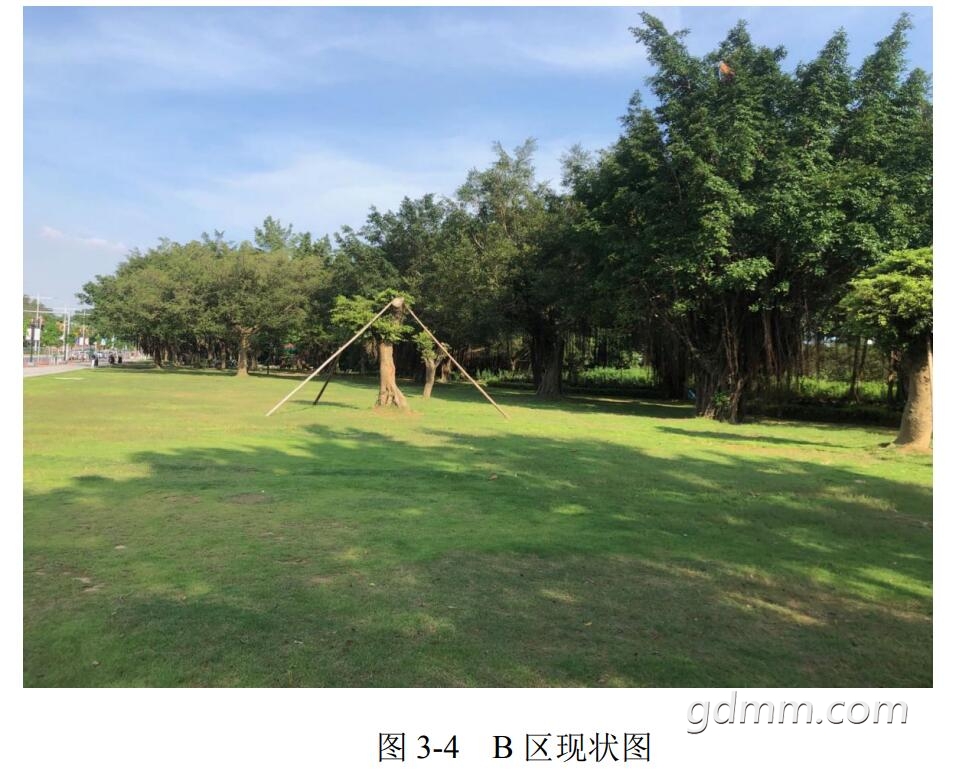 QQ��ͼ20190730171557.jpg