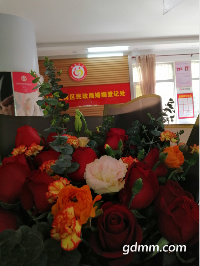 QQ��ͼ20200220172047.png