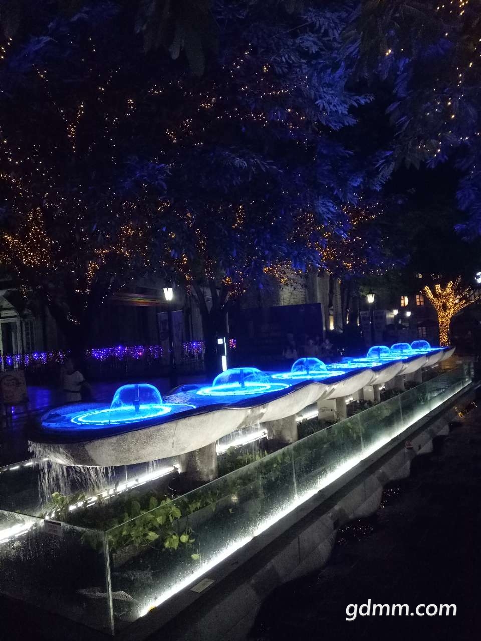 20200228_3281776_1582823849219.jpg