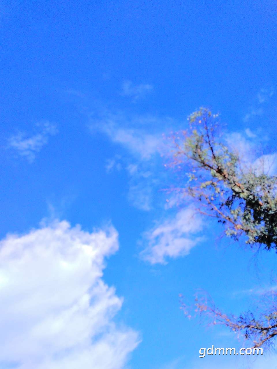 20200228_3177011_1582852964386.jpg