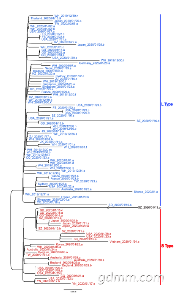 2020_0304_2f12d359p00q6nson005fc000go00rpc.png