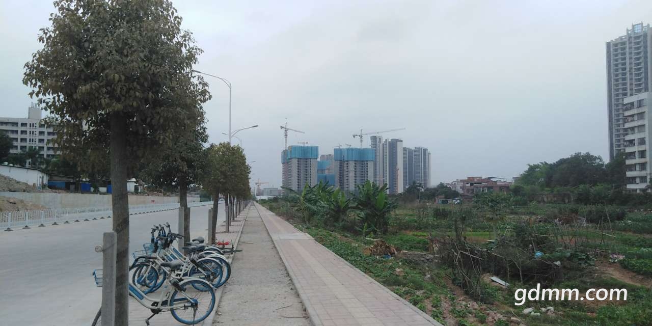 20200316_3281776_1584361184853.jpg