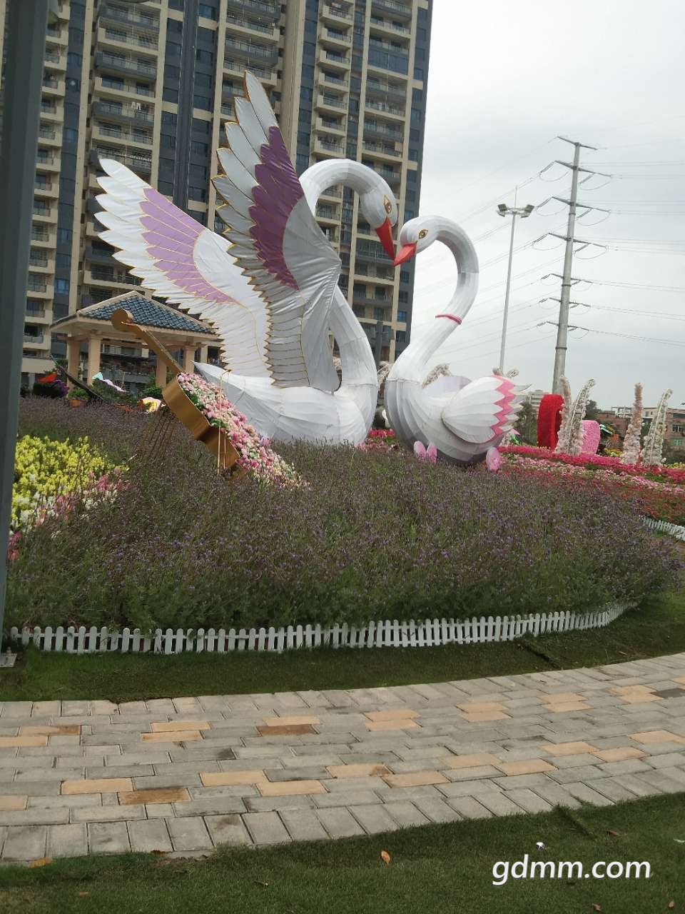 20200321_3292629_1584792361617.jpg
